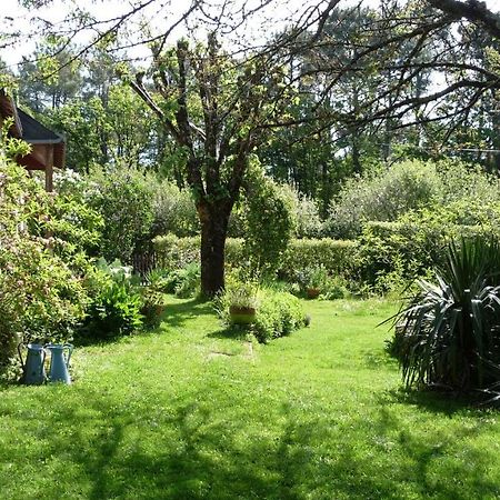 Le Jardin Aux Oiseaux Bed and Breakfast Férel Exteriör bild