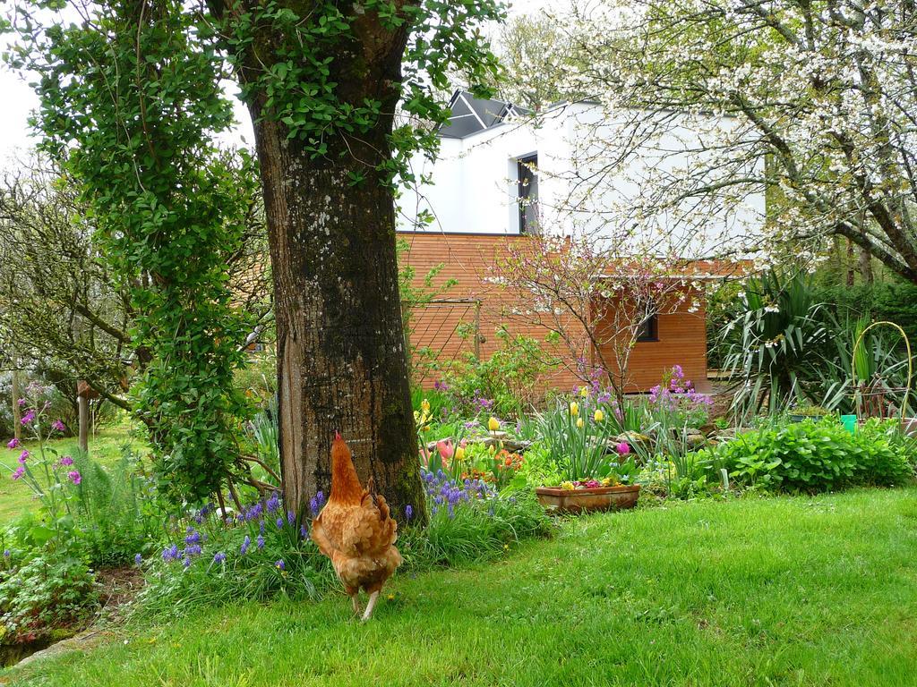 Le Jardin Aux Oiseaux Bed and Breakfast Férel Rum bild