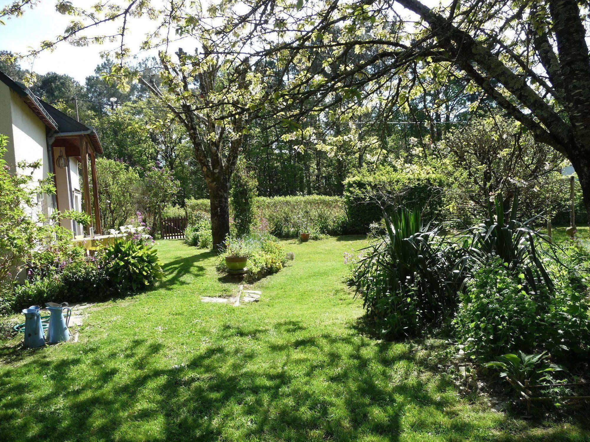 Le Jardin Aux Oiseaux Bed and Breakfast Férel Exteriör bild
