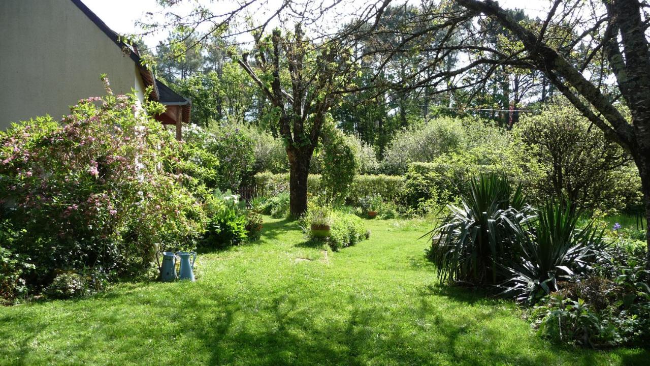 Le Jardin Aux Oiseaux Bed and Breakfast Férel Exteriör bild